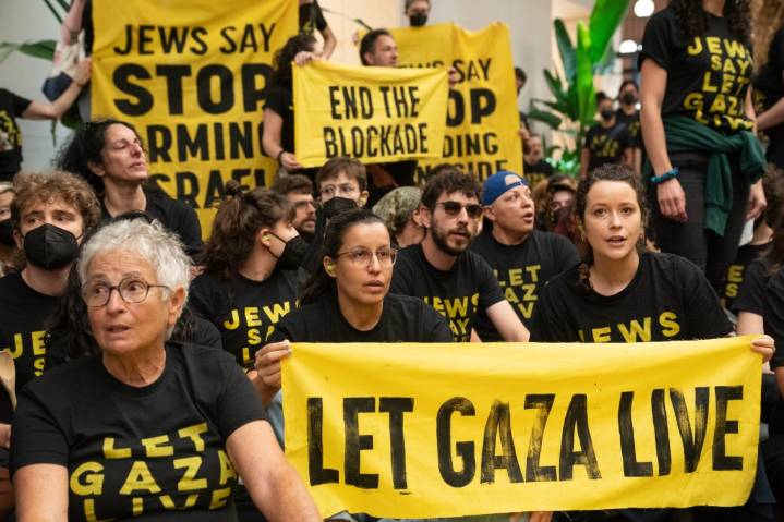 NYC lawmakers arrested at pro-Palestine protest at offices of Sens. Schumer, Gillibrand
