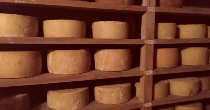 Brote de listeriosis: confirman vínculo con queso criollo y alertan por medidas de prevención