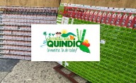 Resultados Lotería del Quindío 21 de agosto: conozca los números ganadores