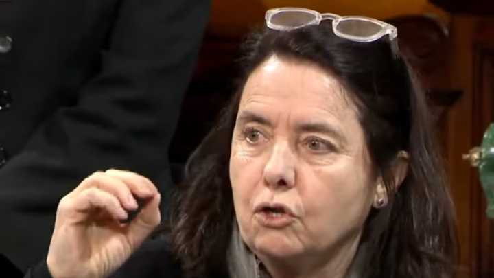 Los cuestionables dichos de una senadora: "No creo que los niños argentinos tengan derecho a venir al Garrahan a ser curados"