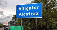 "Alligator Alcatraz" could soon be empty, email suggests