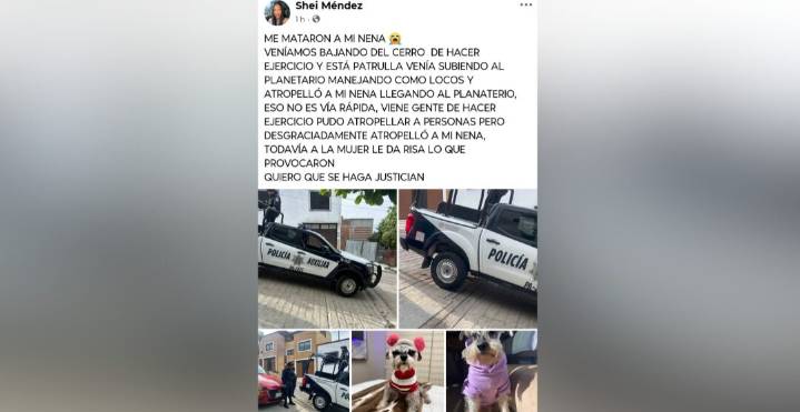 Patrulla mata a perrita en el Cerro del Fortín: acusan abuso de autoridad y burlas tras el hecho