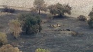 Encino leaders say Sepulveda Basin fires are 'getting out of control'