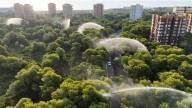 Valencia vuelve a activar los ocho caños de El Saler ante el riesgo de incendio