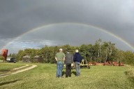 Rainfall a mixed blessing for Saskatchewan producers: Crop report