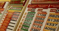 Quiniela HOY: último sorteo y resultados de Nacional y Provincia del miércoles 13 de agosto