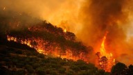 España: los incendios arrasan más de 362.000 hectáreas en solo tres semanas