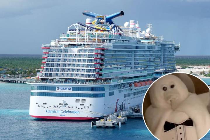 Cruise guest finds hidden towel animals