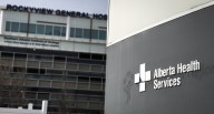 Former Alberta health agency CEO says false claims may compromise investigation