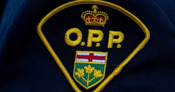 Three injured, four in custody after shooting in Caledon: OPP