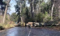 Fuerte temporal de viento azotó Bariloche: voladuras de techos, árboles caídos y cortes de luz