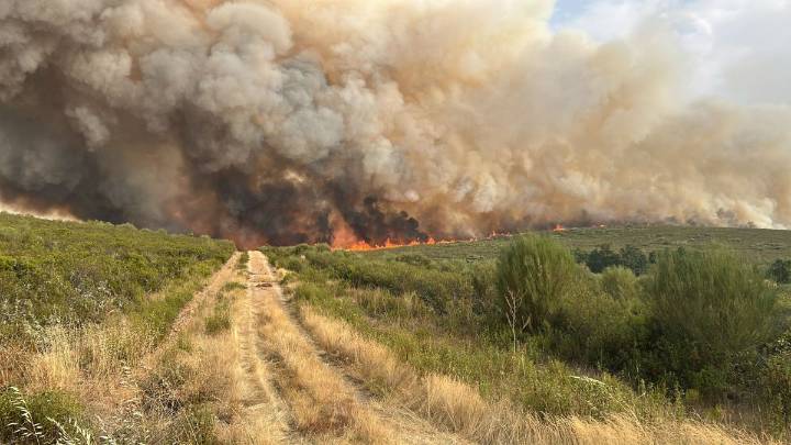 El incendio de Puercas en Zamora obliga ya a desalojar el pueblo y corta una carretera