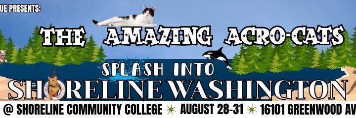 The Amazing Acro-Cats at Shoreline College Theater August 28