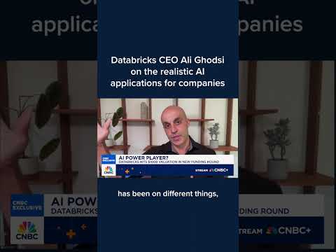 Databricks CEO Ali Ghodsi on the realistic AI applications