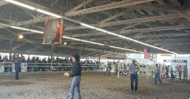4-H Premium Sale proves successful for 4
