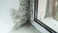 Cómo quitar el moho negro de la silicona de la cocina