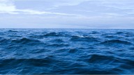 Confirmado: las proyecciones de suba del nivel de mar de hace 30 años ya se cumplieron