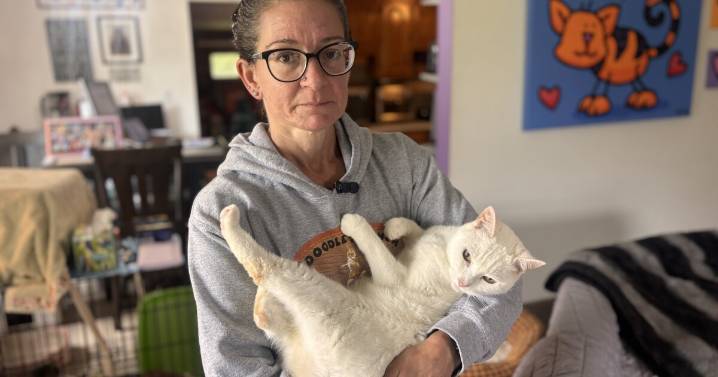 Menomonee Falls flooded pet rescue needs help rebuilding