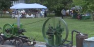 Celebrating everything farming with Antique tractor show