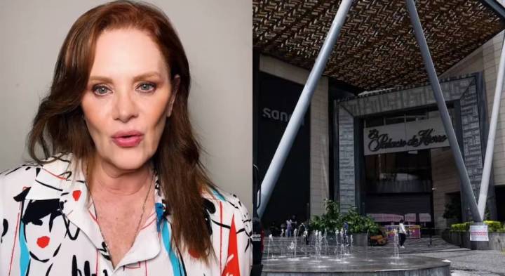 Erika Buenfil denuncia robo en centro comercial Mitikah