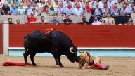 La cornada de Morante mantiene en vilo a la afición de Málaga