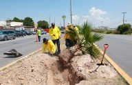 Va Saltillo con todo en acciones de reforestación