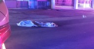 Muere peatón atropellado en calzada de las Américas
