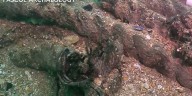 1703 shipwreck off Kent coast documented in extraordinary detail by divers