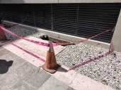 ... y lluvias abren hoyo en Cámara de Diputados