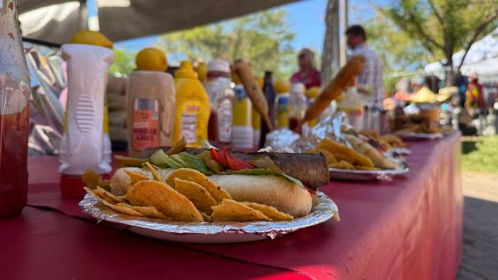 WorldFest attendees get taste of international cultures