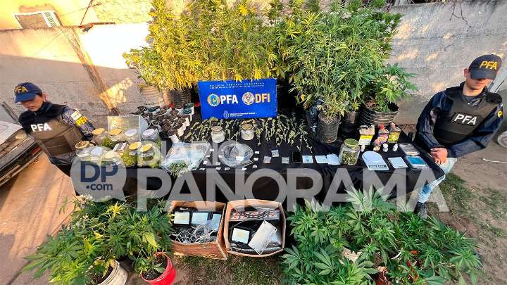 Golpe al narcotráfico en La Banda: cultivaba y vendía marihuana desde su casa