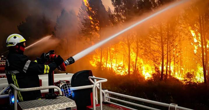 Europa en llamas: miles de bomberos trabajan para combatir los trágicos incendios forestales