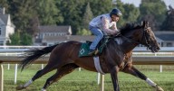 Sovereignty gets back to serious work in preparation for Travers