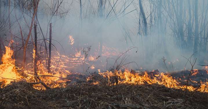 Sublette County Enacts Stage 1 Fire Restrictions