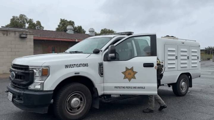 Emaciated horse vanishes from Rancho Santa Fe property amid neglect probe