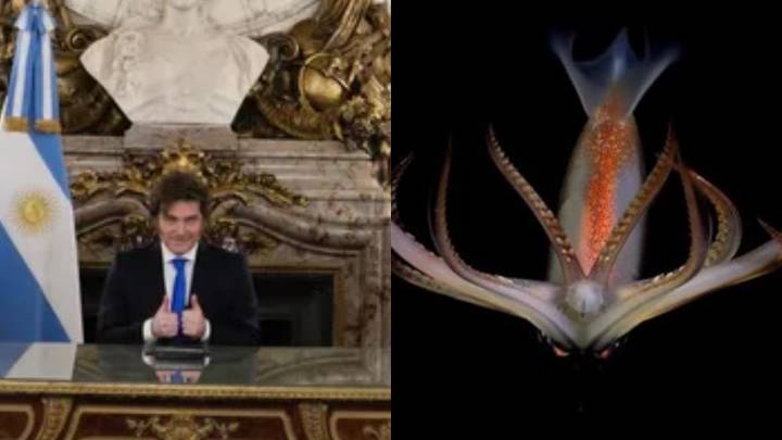 Abrumadora diferencia de visualizaciones entre el Conicet y la cadena de Milei