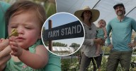 As need for younger farmers grows in CO, program helps them start new families