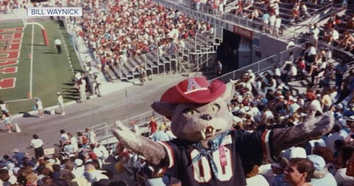 Where there's a Wilbur, there's a way: The history of Arizona's mascot