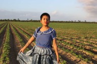 Arrestan a inmigrante beneficiaria de DACA y buscan deportarla de EEUU