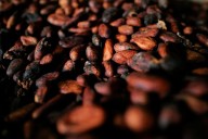 Hartree in talks to buy major cocoa trader Touton, sources say