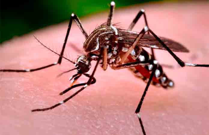 Arranca campaña contra el dengue