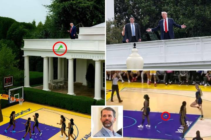 Trump Jr. posts pic of president 'tossing' sex toy onto WNBA court