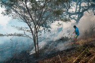 Wildfire disasters are increasingly in the news, yet less land is burning globally