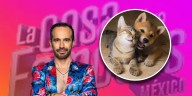 Guana promete donar a albergues de animales a cambio de seguir en la casa tras su nominación