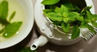 Comer para vivir: Menta, una hierba aliada de la digestión