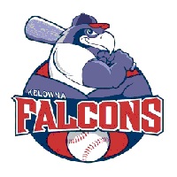Falcons end season with a losing record