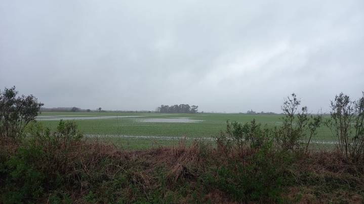 Lluvias intensas en el campo complican al litoral y la región pampeana