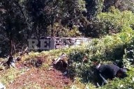 Deja volcadura de camión un muerto y 22 heridos en Puebla