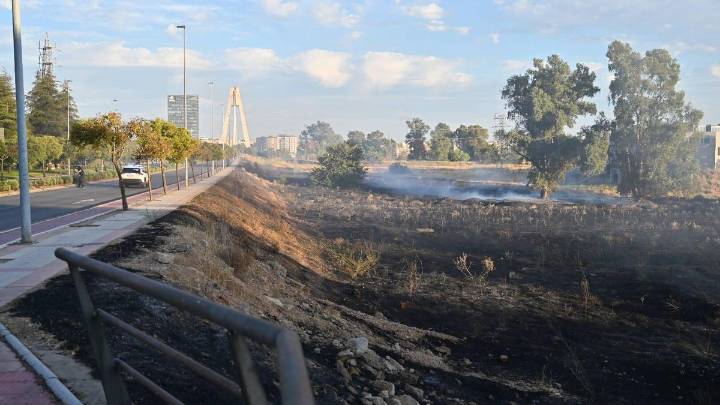 Detenido el presunto autor de varios incendios este verano en Badajoz: ha sido sorprendido 'in fraganti' cuando prendía fuego junto al puente Real