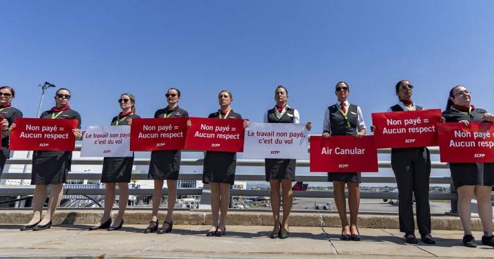 In the news today: Air Canada begins cancelling flights, Google AI summaries concerns